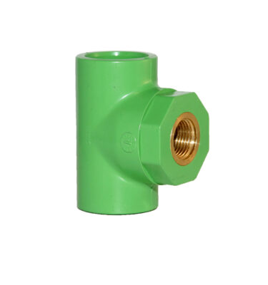 Té tengi með 1/2" múffu Kryoclim FTGRL